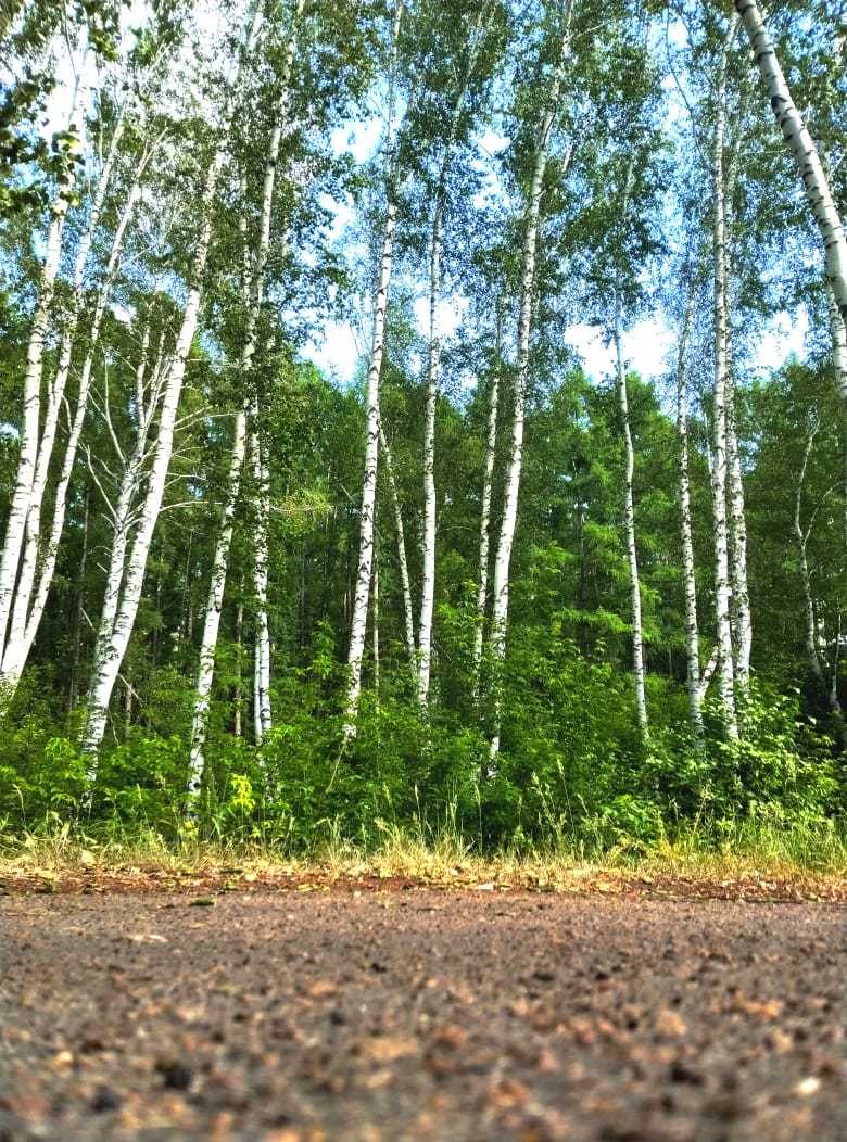 Отдых в 